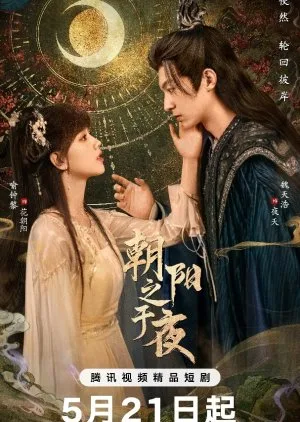 The Dawn to the Night (2025)